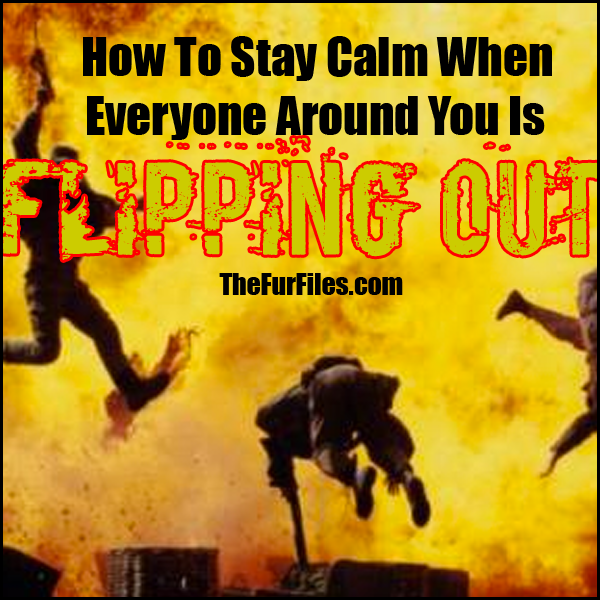How To Stay Calm When Everyone Around You Is Flipping Out | TheFurFiles